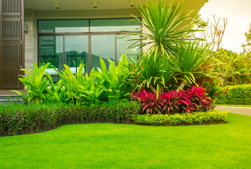 Does Landscaping Increase the Value of Your Property?