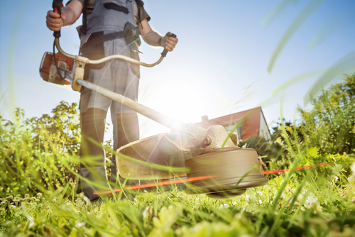 Grass Mowing - Lawn Maintenance