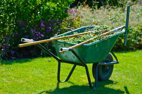 DIY Landscape Maintenance