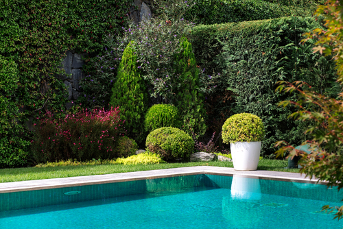 Choosing the Right Plants for Poolside Gardens