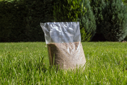 Choosing the Right Grass Seed or Sod