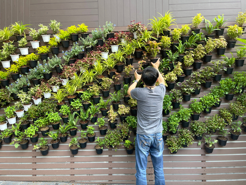 Choosing the Right Plants