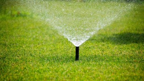 Effective Watering Practices