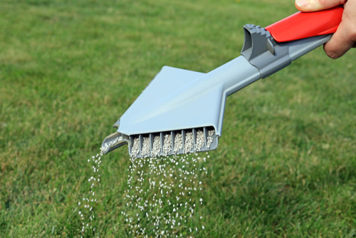 Overseeding for a Denser Lawn