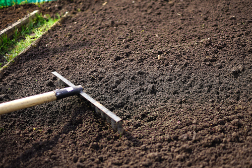 Preparing Your Lawn for Healthy Growth